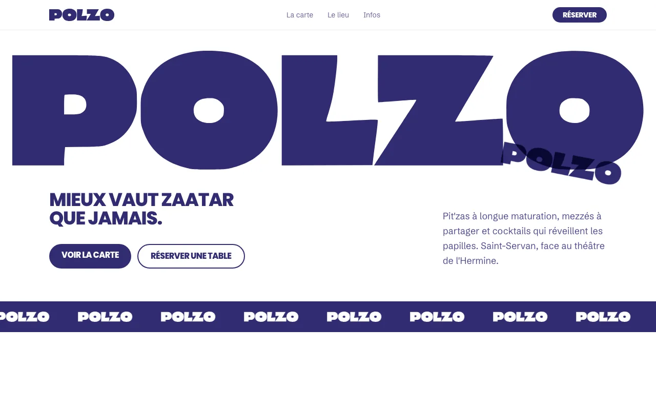 Polzo website design